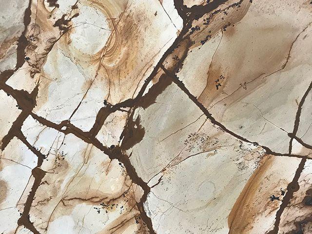 Roma Imperiale Quartzite Countertop Sample