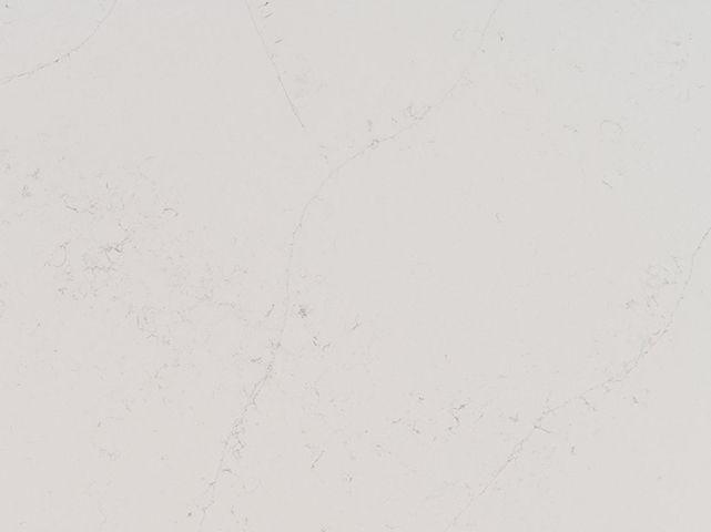 Calacatta Botanica Quartz Countertop Sample