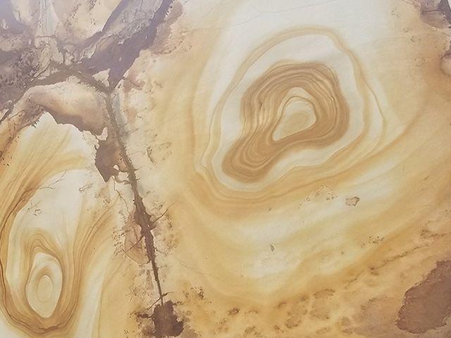 Palomino Quartzite Countertop Slab Sample